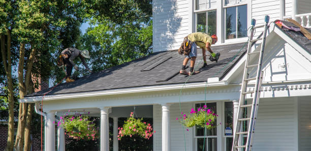 Roof Gutter Cleaning in Dinuba, CA